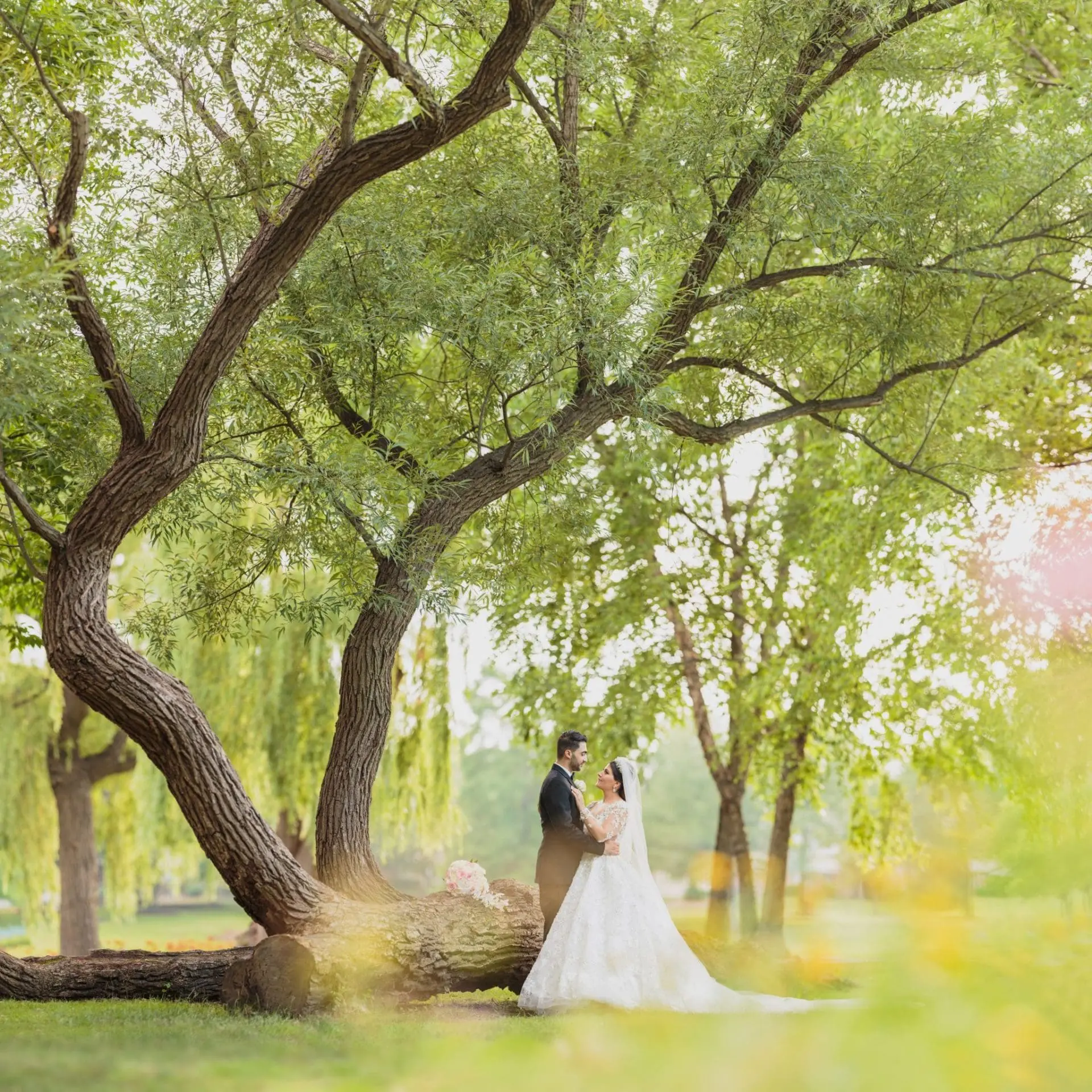 Prairie Center for the Art Schaumburg Wedding Photos