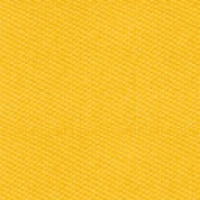 NT8