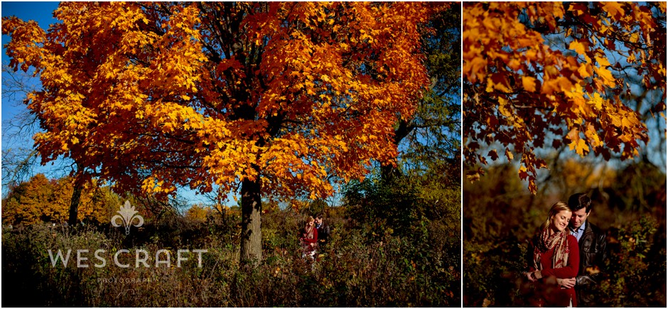 Natural Fall Setting Chicago Engagement Wes Craft Photography001
